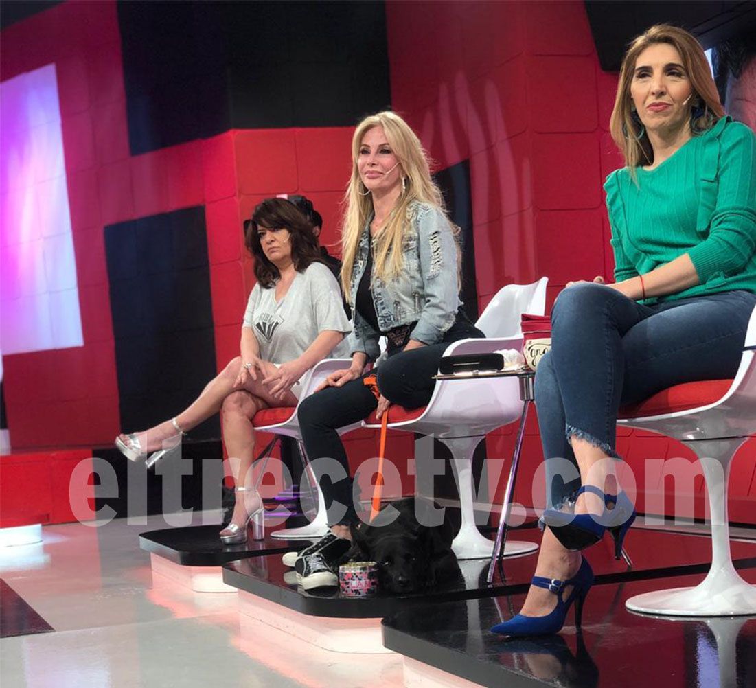 Graciela Alfano presentó a su perro rescatado:"Lo habían apaleado y tenía el ojo salido"