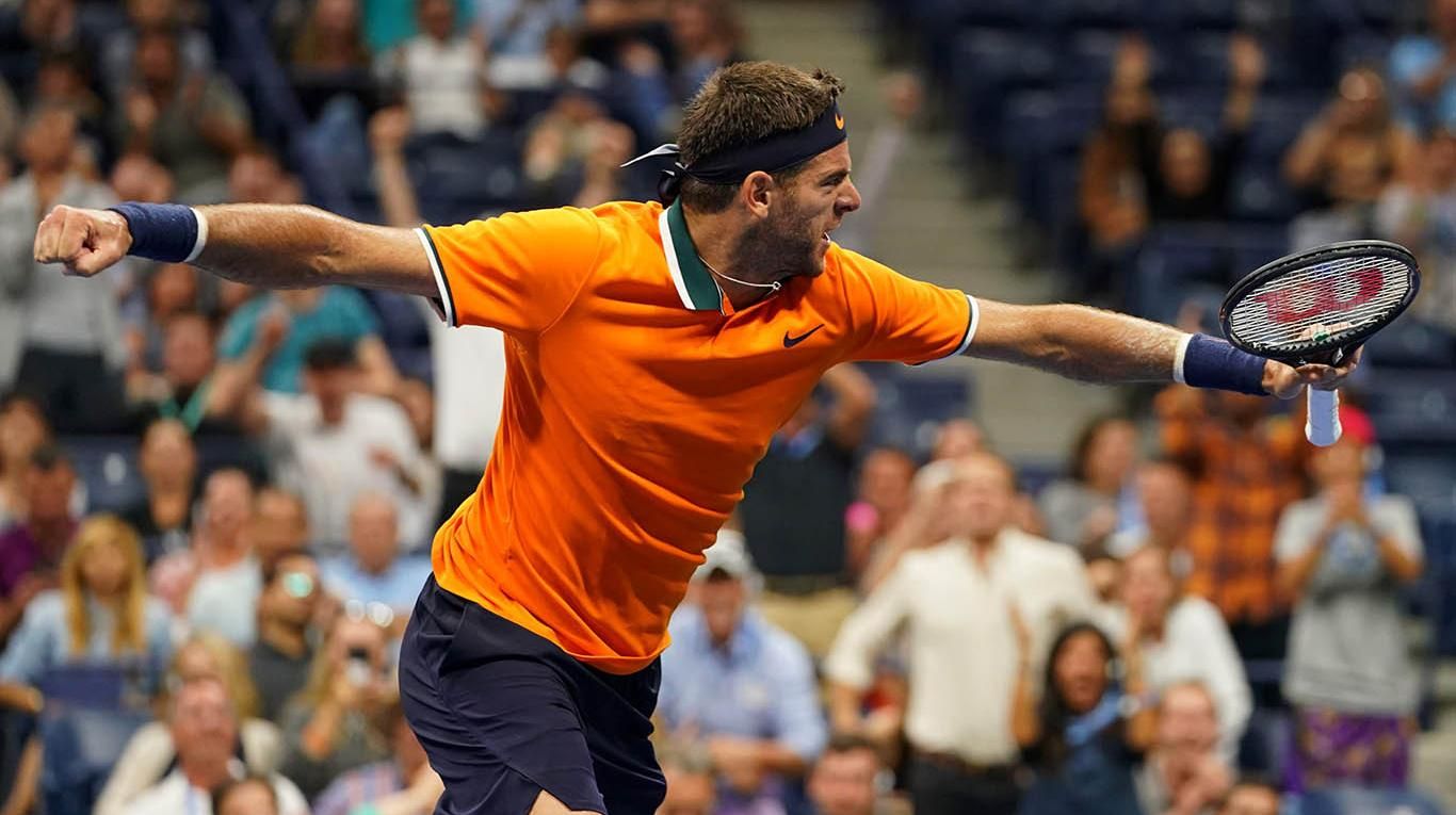 Resultado de imagen para del potro 2009