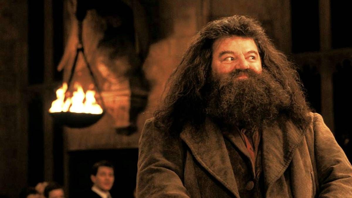 Resultado de imagen para hagrid
