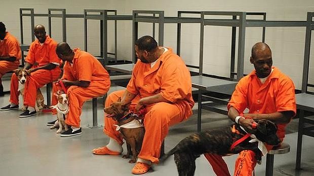 Presos sentados con un perro entre sus piernas