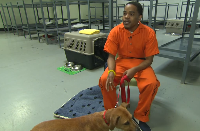 Preso sentado sosteniendo a un perro con una correa