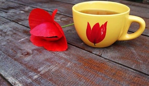 Amapola, una de las hierbas para dormir, sobre una mesa. Amapola