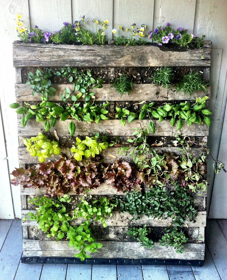 jardín vertical con palets