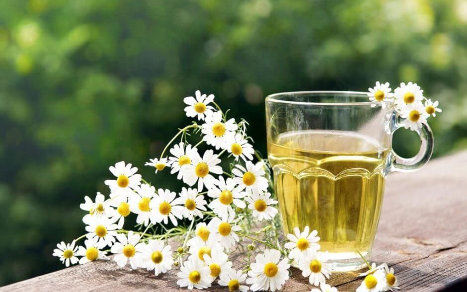 Infusión y flores de manzanilla