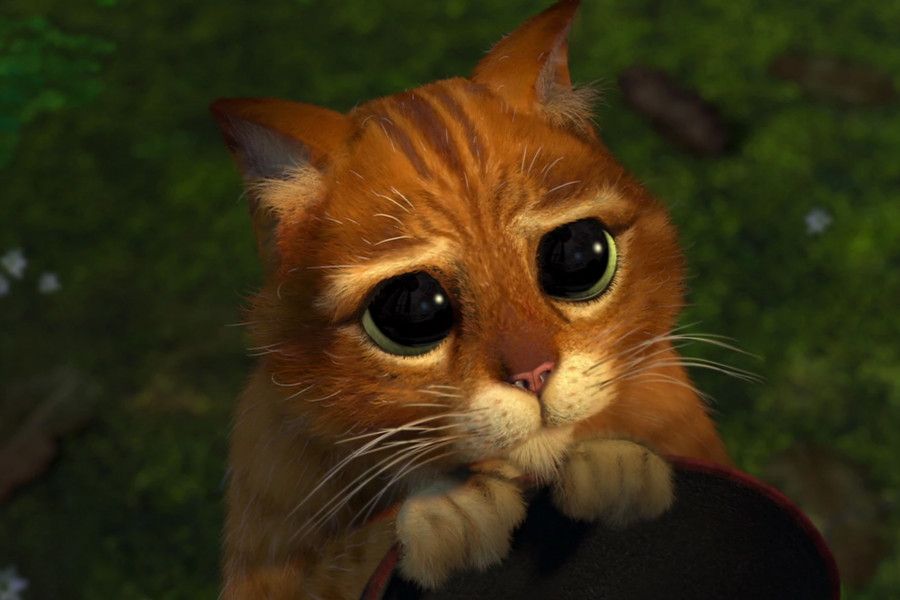 el gato con botas 2 confirmada 2