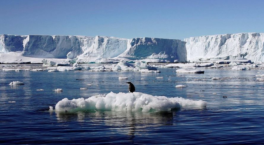Descubren una terrible amenaza para el mundo en la Antártida: âEl principio del finâ