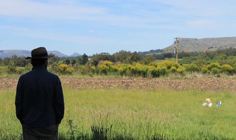 Sabores y saberes: Soguero y alfarero, cultiva zapallos para hacer dulce en Balcarce