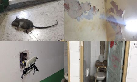 Ratas, roturas y humedad: preocupa la situación edilicia del Comercial Domingo Silva. Ratas, roturas y humedad: preocupa la situación edilicia del Comercial Domingo Silva.