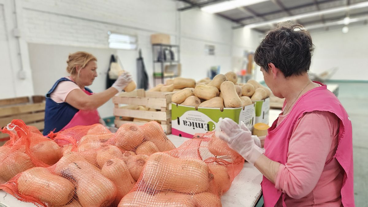 El Banco de Alimentos Santa Fe entrega comida a 130 organizaciones