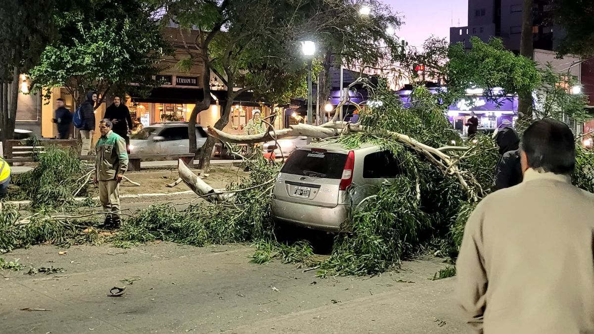 El hecho ocurrió cerca de las 18:30 de este miércoles. El hecho ocurrió cerca de las 18:30 de este miércoles.