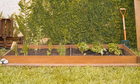 Prepará tu huerta para la primavera. Prepará tu huerta para la primavera.