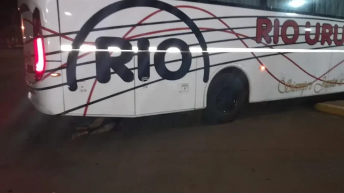 Corrientes: un micro llegó a la terminal y descubrieron que arrastraba un cadáver Corrientes: un micro llegó a la terminal y descubrieron que arrastraba un cadáver