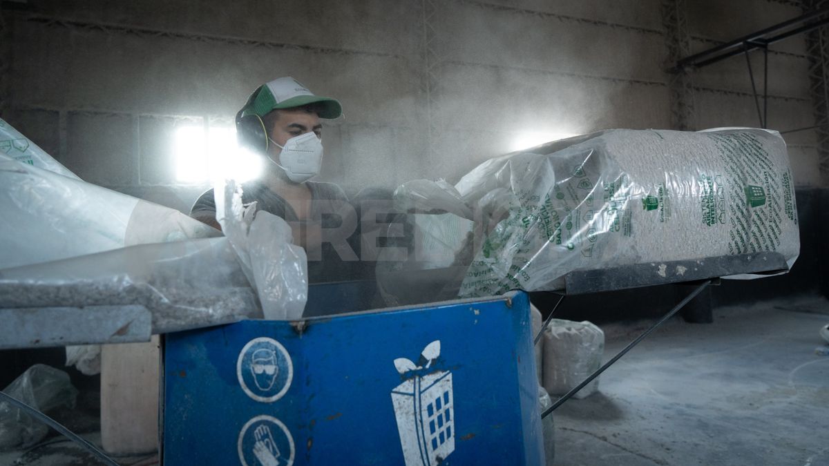 La celulosa proyectada logró imponerse como una alternativa seria en el mercado a nivel nacional e internacional a partir de sus múltiples beneficios. La celulosa proyectada logró imponerse como una alternativa seria en el mercado a nivel nacional e internacional a partir de sus múltiples beneficios.