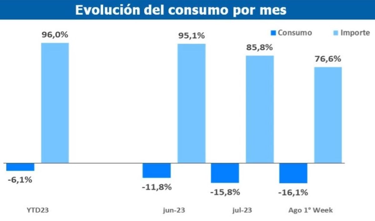 Fuente: Consultora Focus Market. Fuente: Consultora Focus Market.