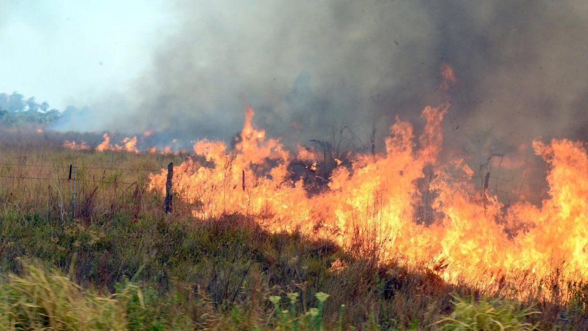 Las llamas alcanzaron el ingreso a la Reserva Provincial del Iberá.