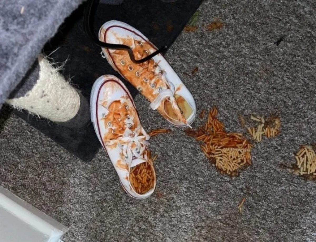 Más imágenes de la venganza en la casa. Entró con las llaves prestadas. 