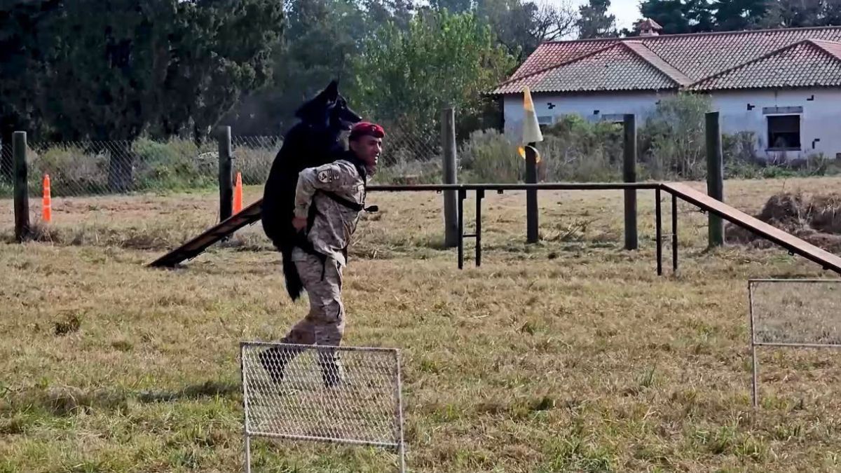 La capacitación se desarrolló en Recreo, en el predio del Instituto de Seguridad Pública donde funciona la Sección Perros de la Policía de Santa Fe.