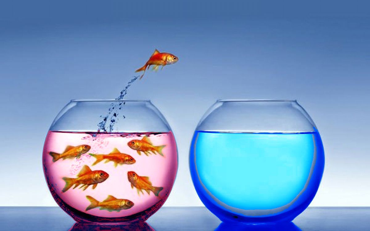 La estrategia del Océano Azul implica centrarse en la creación de un espacio de mercado nuevo y sin explotar, en contraste con el Océano Rojo donde la competencia es intensa. La estrategia del Océano Azul implica centrarse en la creación de un espacio de mercado nuevo y sin explotar, en contraste con el Océano Rojo donde la competencia es intensa.