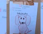un nene de 11 anos perdio a su mascota, no tiene fotos y la busca con un dibujo