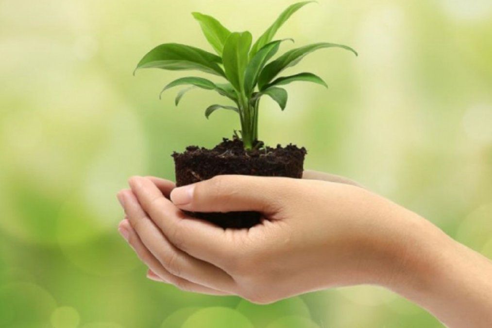 Cuál es la importancia de las comunidades sustentables y cómo se crean