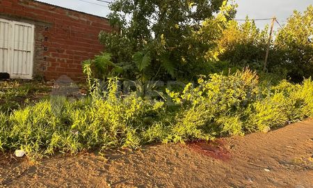 Calle Berutti al 5700, el lugar del homicidio en el norte de la ciudad de Santa Fe. Calle Berutti al 5700, el lugar del homicidio en el norte de la ciudad de Santa Fe.