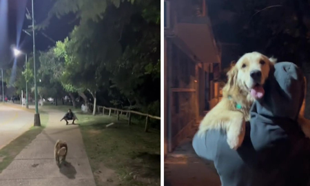 Ni Judas se animó a tanto: se reencontró con su ex mientras paseaba a su perra y la reacción del animal la sorprendió Ni Judas se animó a tanto: se reencontró con su ex mientras paseaba a su perra y la reacción del animal la sorprendió