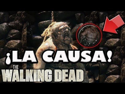 Confirmaron cómo se originó el virus zombie en “The Walking Dead”