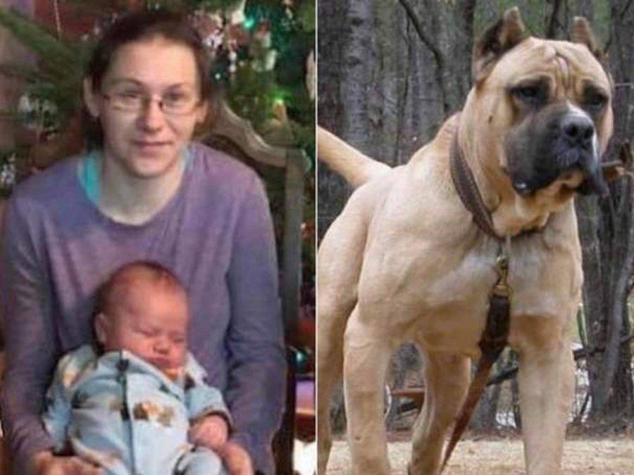 Mujer salvó al hijo del ataque de su perro pitbull y murió por las heridas