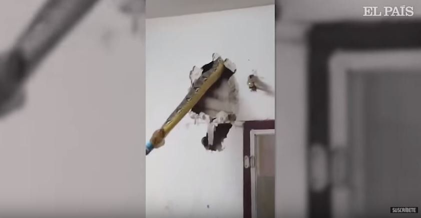 VIDEO: Un hombre encuentra una pitón tras la pared de su salón