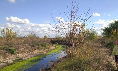 El arroyo Ludueña es un típico humedal pampeano, muy afectado por el avance de la agricultura y la presión inmobiliaria en Rosario. El arroyo Ludueña es un típico humedal pampeano, muy afectado por el avance de la agricultura y la presión inmobiliaria en Rosario.