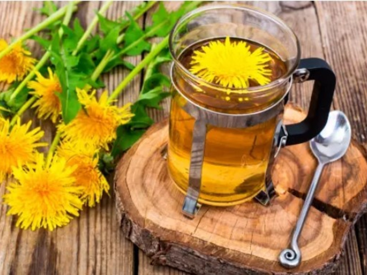 Beneficios que aportan las infusiones depurativas para el páncreas. Beneficios que aportan las infusiones depurativas para el páncreas.