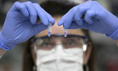 desmienten que haya circulacion del virus en la ciudad de santa fe desmienten que haya circulacion del virus en la ciudad de santa fe