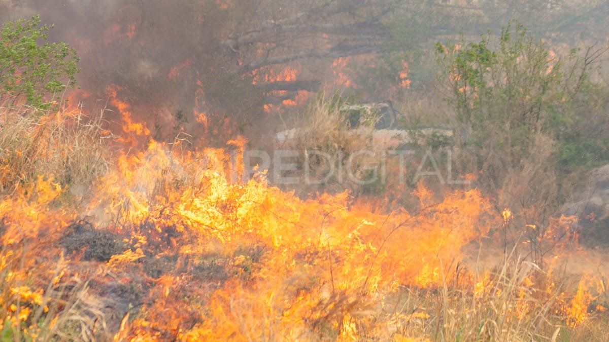El 95% de los incendios en Argentina son intencionales.