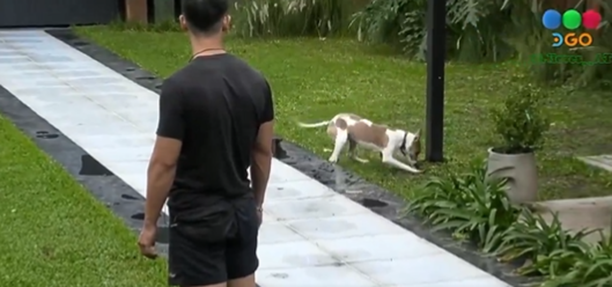 Arturo hizo un pozo en el césped de la casa de Gran Hermano. Arturo hizo un pozo en el césped de la casa de Gran Hermano.