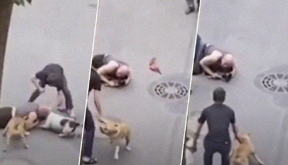 Un hombre cubre con su cuerpo a su perro anciano para protegerlo un feroz ataque&nbsp;