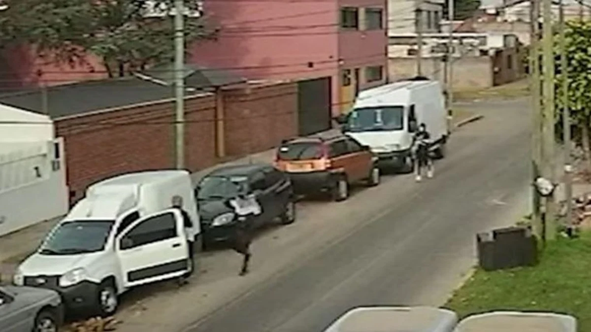 El hecho ocurrió en la provincia de Buenos Aires y dejo a uno de los ladrones muerto y otro que se encuentra prófugo