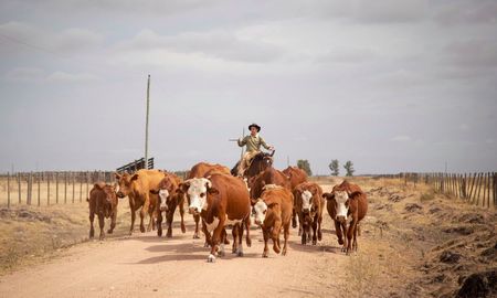 dia del trabajador rural: por que se celebra hoy, miercoles 8 de octubre dia del trabajador rural: por que se celebra hoy, miercoles 8 de octubre