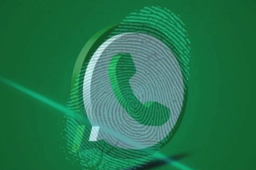 WhatsApp: ¿cómo saber quién me tiene agregado en su teléfono?