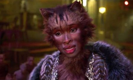 viral: los gatos con cara de humanos ¡son reales! viral: los gatos con cara de humanos ¡son reales!