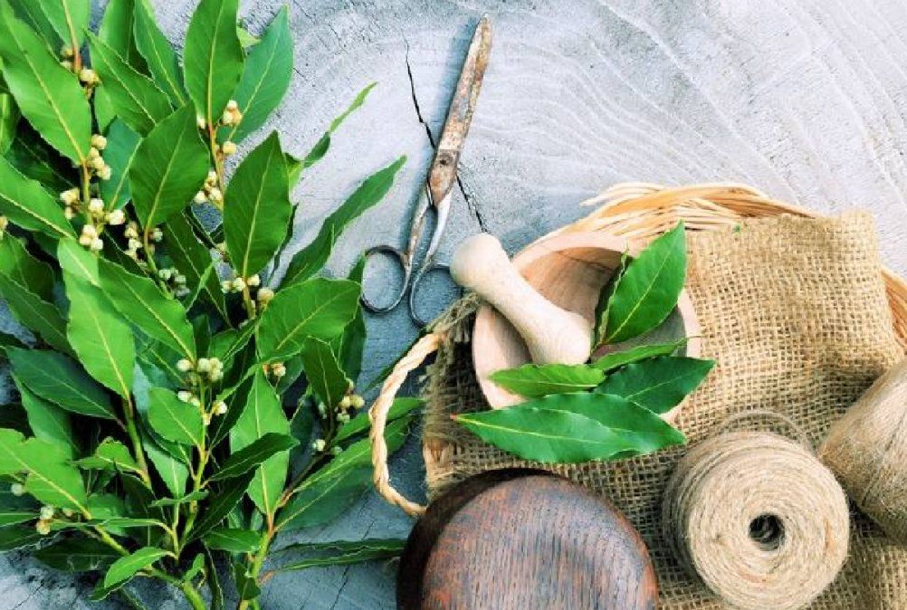 Es un purificador del ambiente del hogar