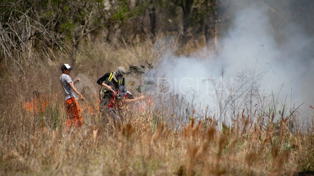 Vecinos de Colastiné intentan apagar el fuego en los terrnenos.&nbsp;