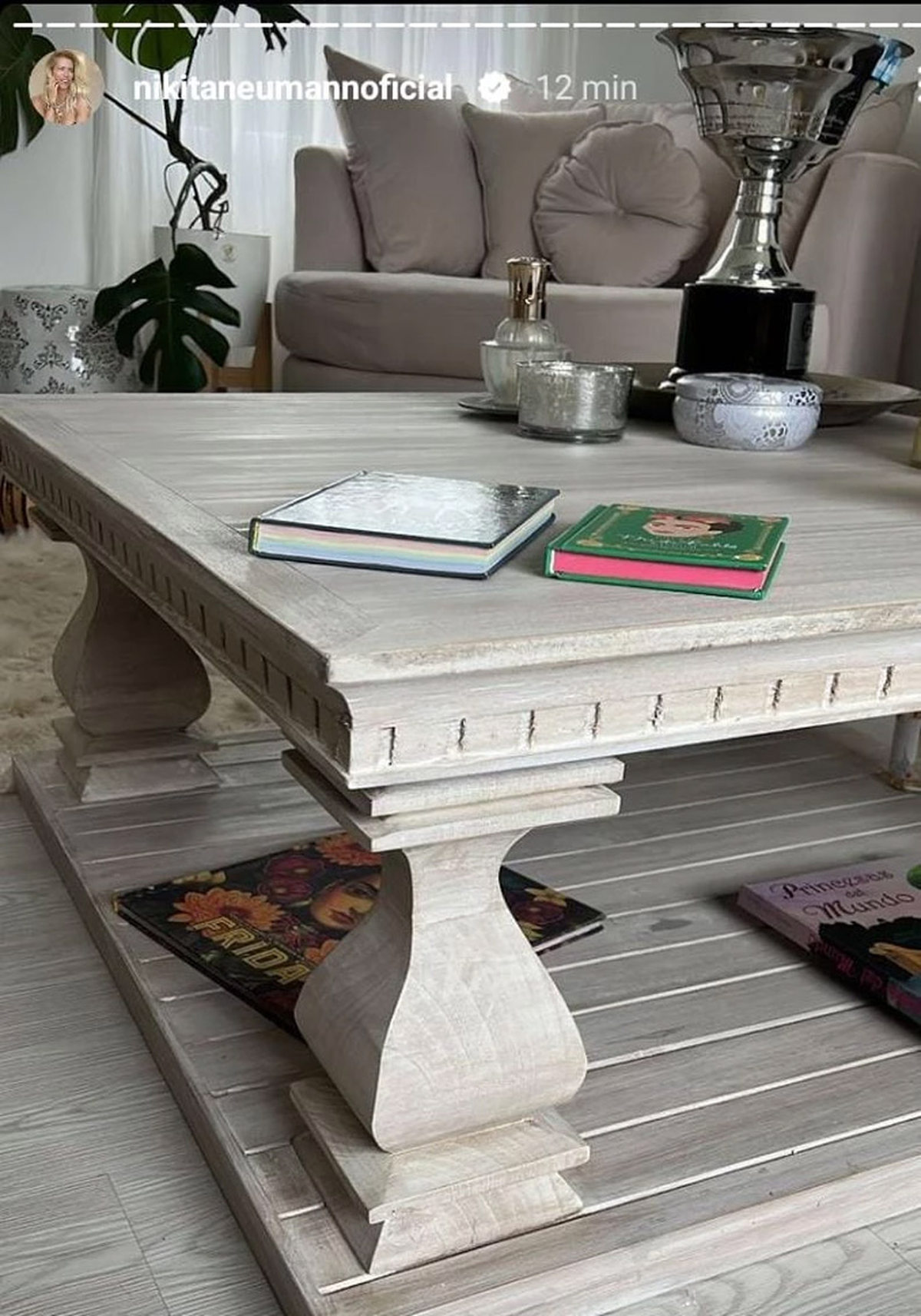 Así es la casa de Nicole Neumann en Tigre.