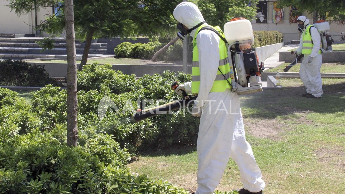 La fumigación y el descacharrado domiciliario son las principales medidas de prevención del dengue.