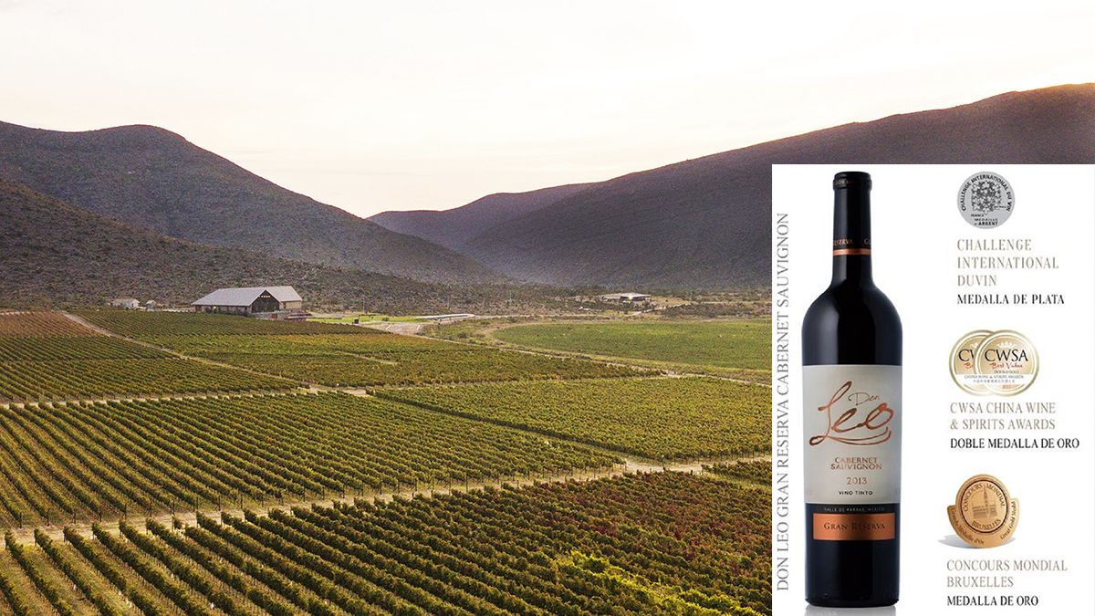 Un cabernet mexicano se convierte en el mejor del mundo