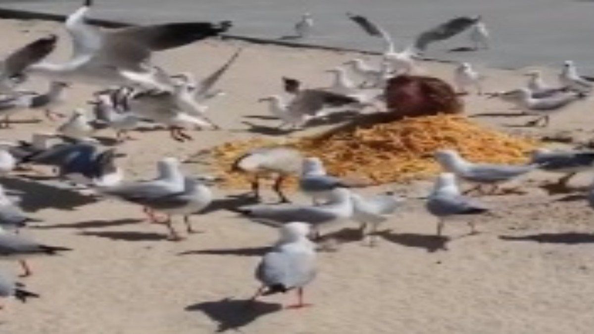 El video recorrió las redes sociales y se volvió furor.&nbsp;