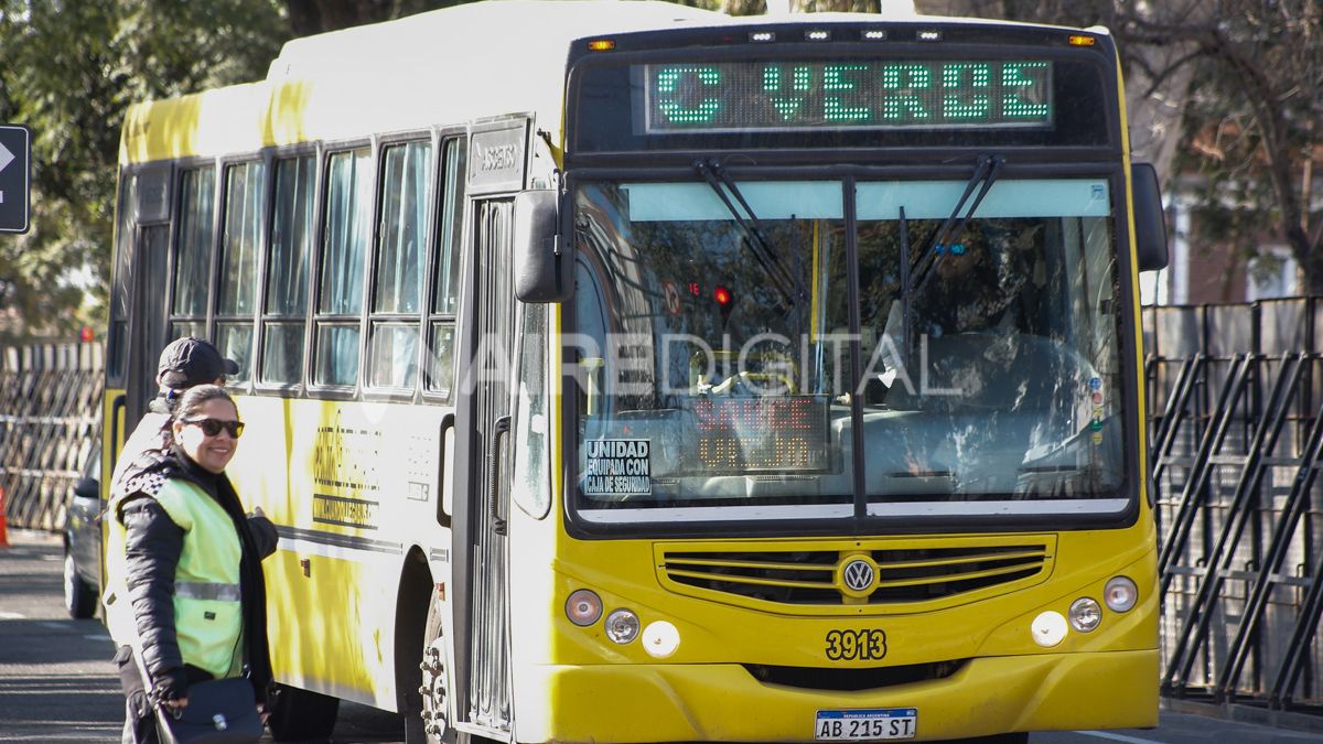 Uta en estado de alerta