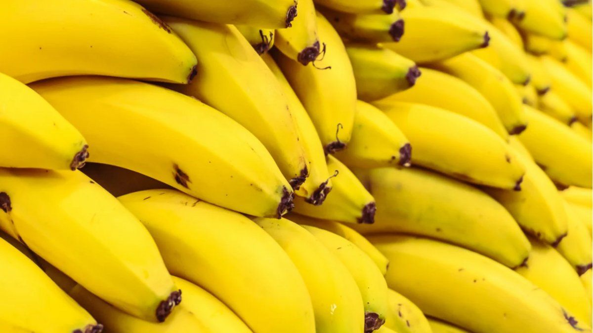 Los especialistas en nutrición señalan cuáles son los beneficios e inconvenientes de comer banana en ayunas, una fruta rica en potasio.