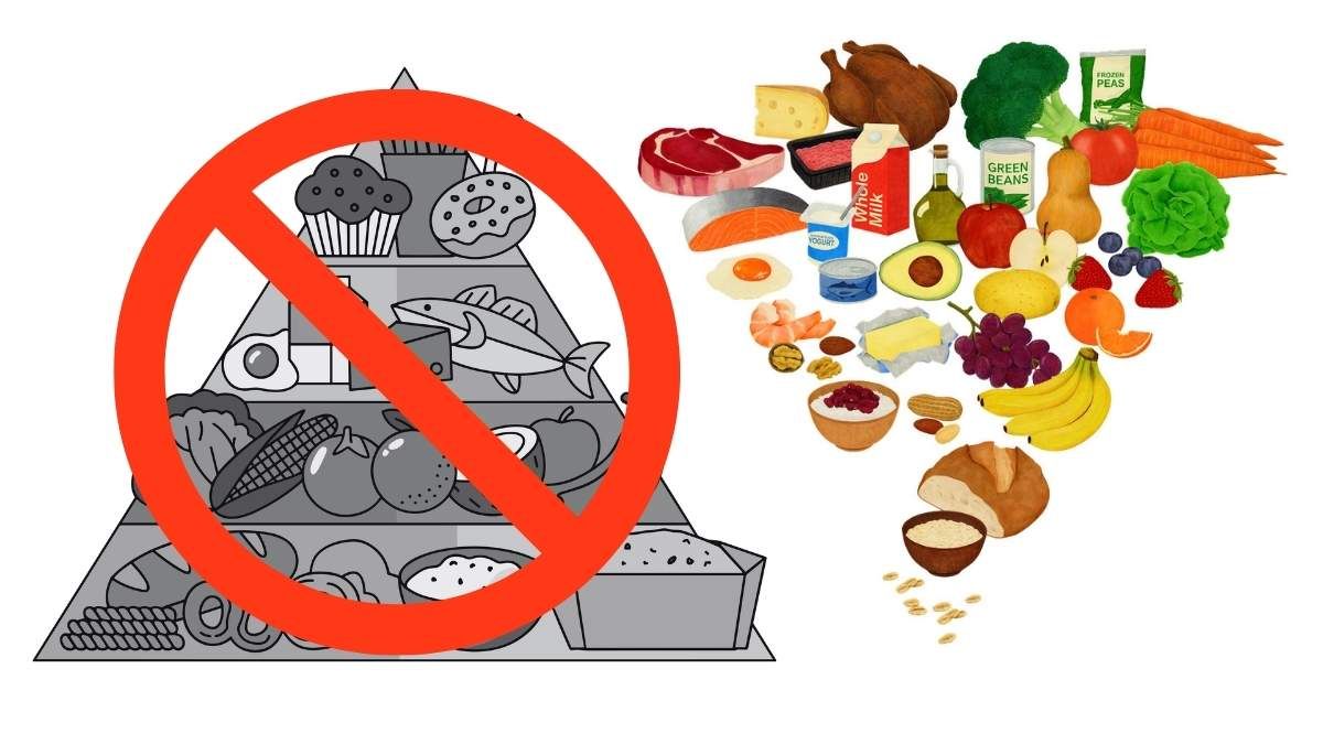 Expertos de EE.UU. discuten la pirámide alimentaria invertida como respuesta a la obesidad. Expertos de EE.UU. discuten la pirámide alimentaria invertida como respuesta a la obesidad.