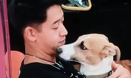 Revelaron por qué Martín Ku no se puede quedar con el perro Arturo, tras ser eliminado de Gran Hermano. Revelaron por qué Martín Ku no se puede quedar con el perro Arturo, tras ser eliminado de Gran Hermano.