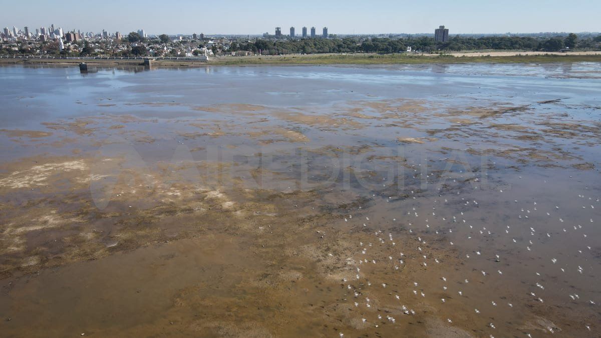 En mayo del año pasado, el río también había caído a una altura récord: 0,48 metros.